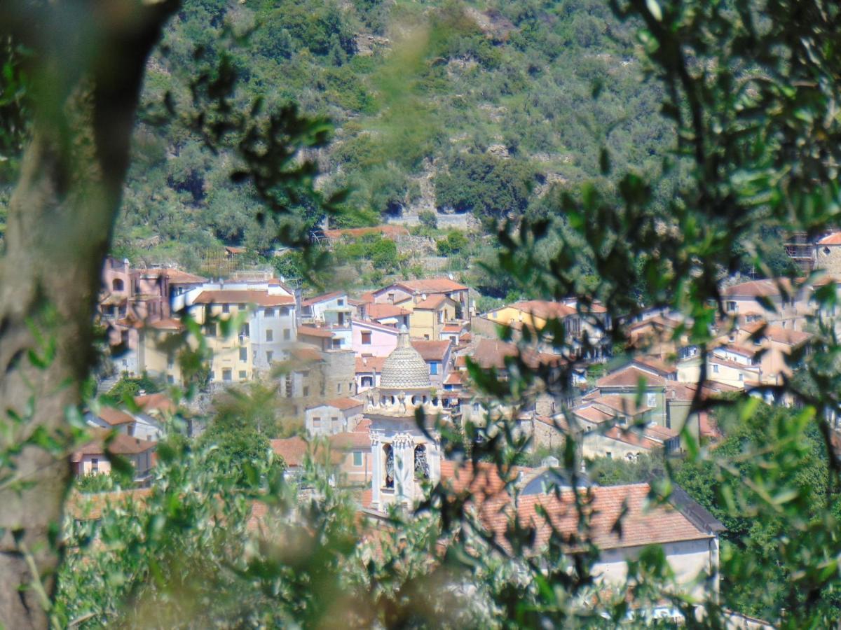 Divino Apartment Villa Viani Luaran gambar